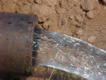 Contribution towards Water Wells